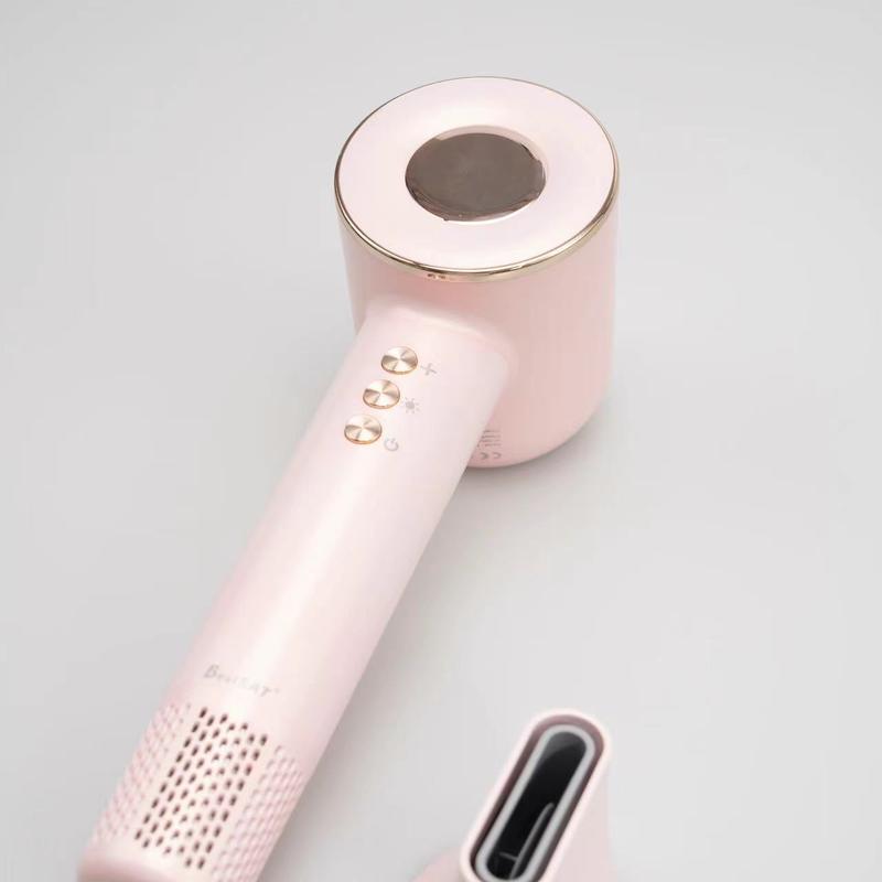 Dual Voltage Professional Ionic Hair Dryer 110000 RPM High Speed Blow Dryer For Pet