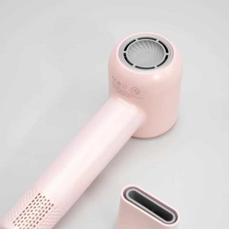 Dual Voltage Professional Ionic Hair Dryer 110000 RPM High Speed Blow Dryer For Pet