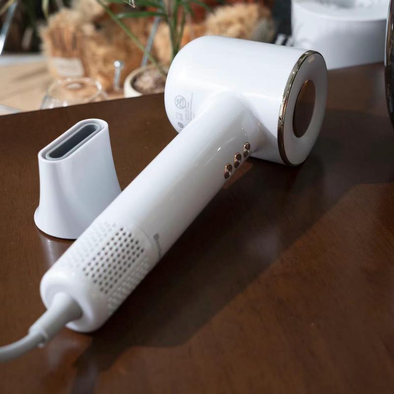 Dual Voltage Temperature Control Hair Dryer 1600W High Speed Blow Dryer Fast Drying