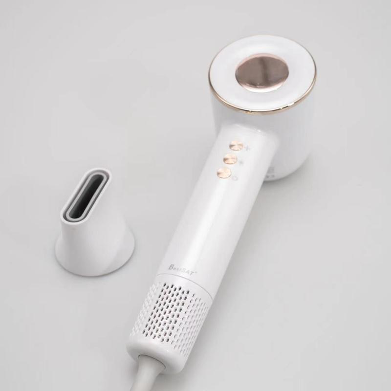 Dual Voltage Temperature Control Hair Dryer 1600W High Speed Blow Dryer Fast Drying