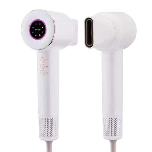 Dual Voltage Temperature Control Hair Dryer 1600W High Speed Blow Dryer Fast Drying