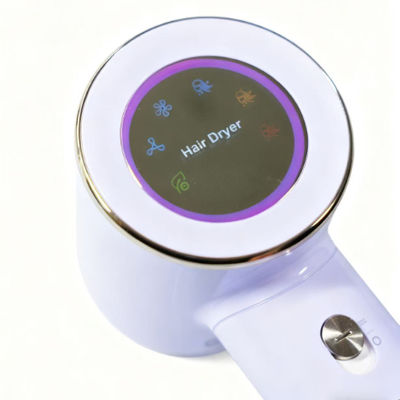 1600W LED-Display professioneller Haartrockner mit 110000 RPM Bürstenloser Motor